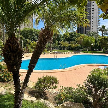 Murtal Apartment Benidorm Eksteriør bilde