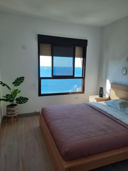 Murtal Apartment Benidorm Eksteriør bilde