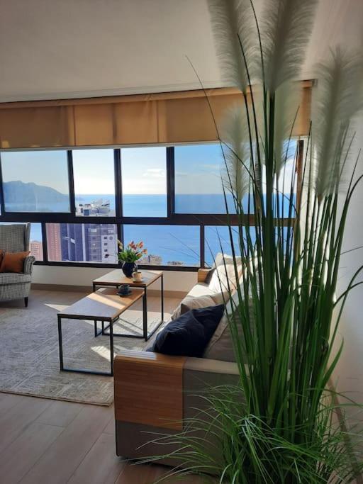Murtal Apartment Benidorm Eksteriør bilde